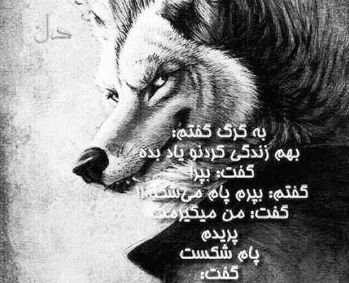 عکس نوشته زندگی بهم یاد داد