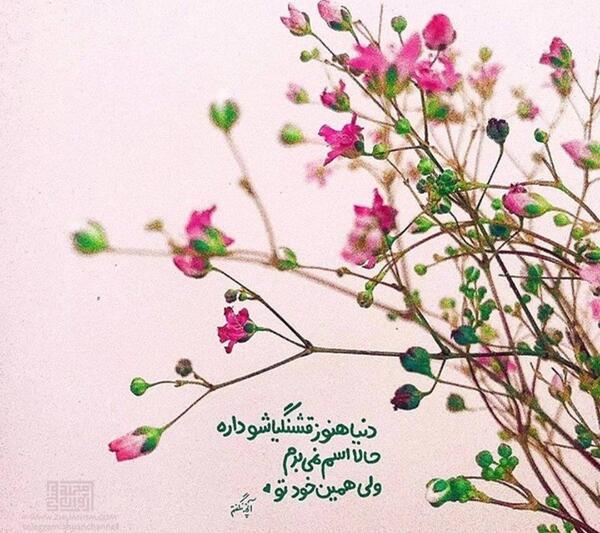 عکس نوشته دنیا هنوز قشنگیاشو داره