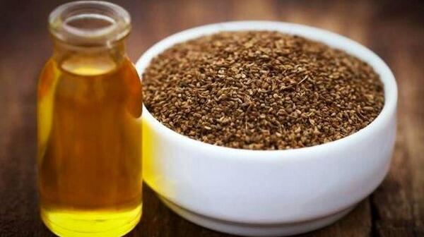 عکس گیاهان کویری