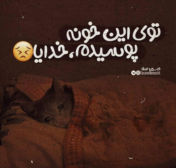 عکس نوشته پوسیدیم تو خونه
