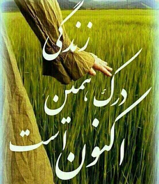 عکس نوشته زندگی درک همین اکنون است