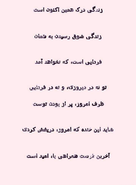 عکس نوشته زندگی درک همین اکنون است