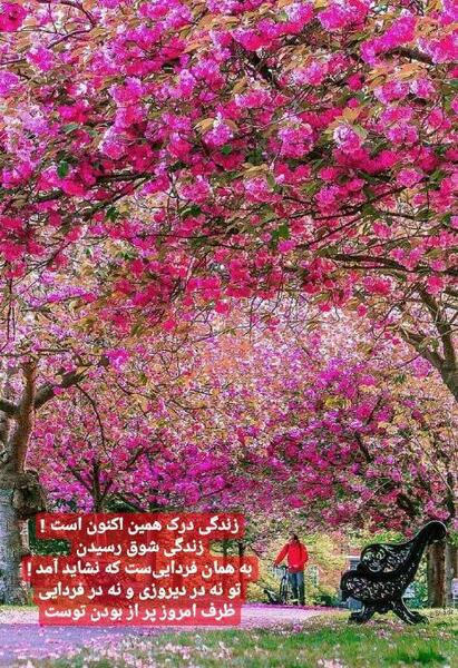 عکس نوشته زندگی درک همین اکنون است