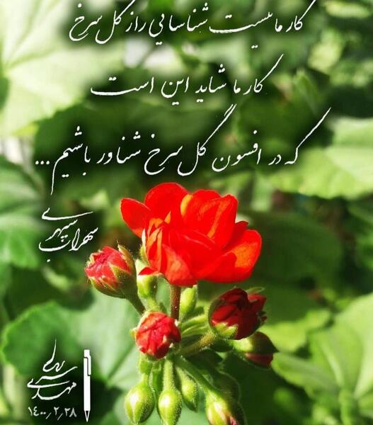 عکس نوشته زندگی درک همین اکنون است