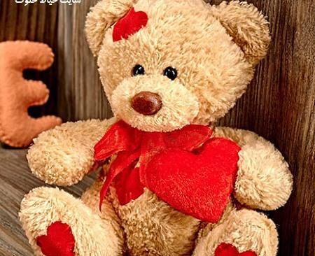عکس عروسک خرسی برای پروفایل