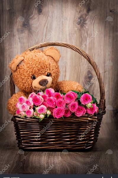 عکس عروسک خرسی برای پروفایل