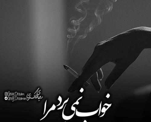 عکس نوشته کاش عاشق نمیشدم