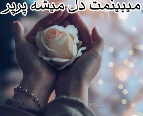 عکس نوشته میبینمت دل میشه پرپر