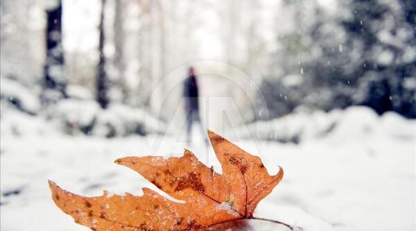 عکس برف پاییز