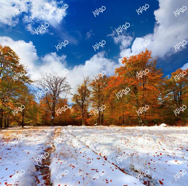 عکس برف پاییز