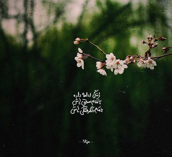 عکس نوشته زندگی ادامه دارد