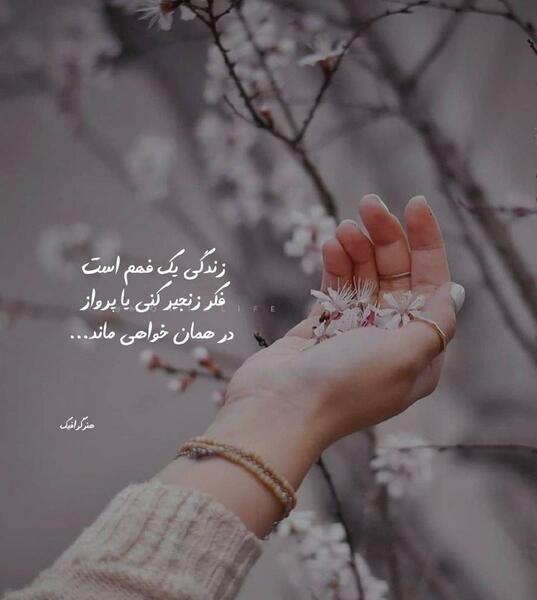 عکس نوشته زندگی یک فهم است