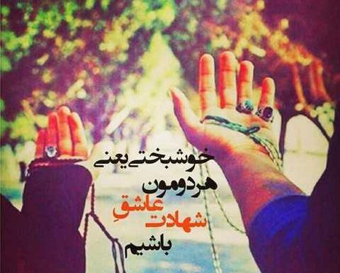 عکس نوشته من گفتم بله