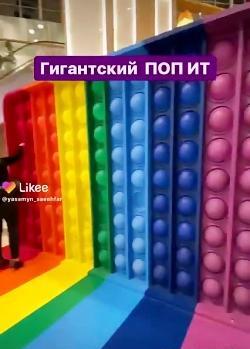عکس بزرگترین پاپیت