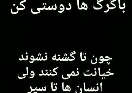 عکس نوشته های نیش دار