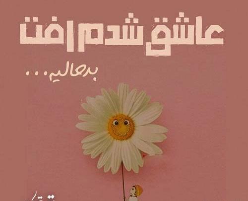 عکس نوشته چرا عاشق شدم