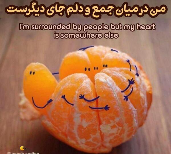 عکس نوشته من در میان جمع ودلم جای دیگریست