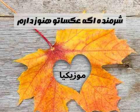 عکس نوشته شرمندم اگه عکساتو هنوز دارم