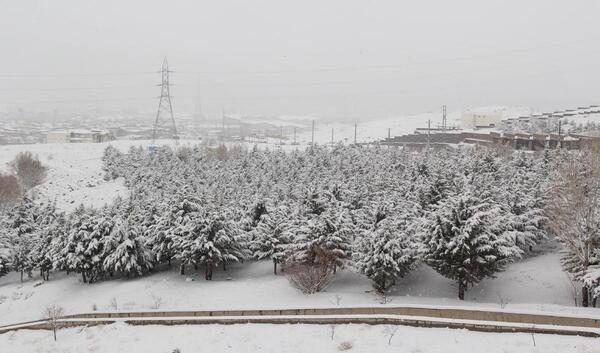 عکس برف زمستانی زنجان