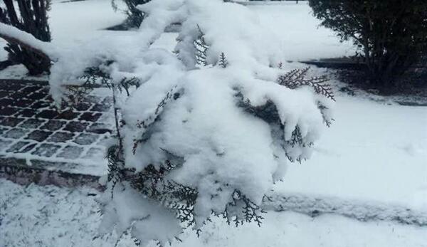 عکس برف زمستانی زنجان