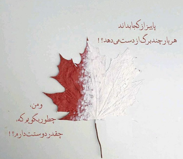 عکس نوشته چگونه بگویم دوستت دارم