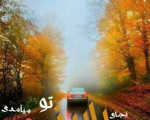 عکس نوشته کاش جوانی هم المثنی داشت