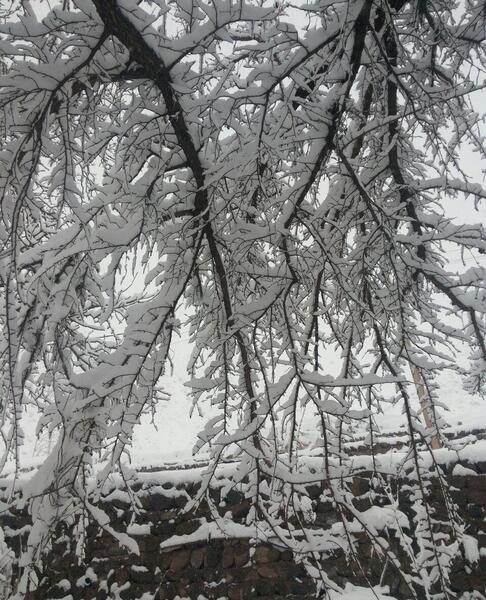 عکس برفی طبیعی