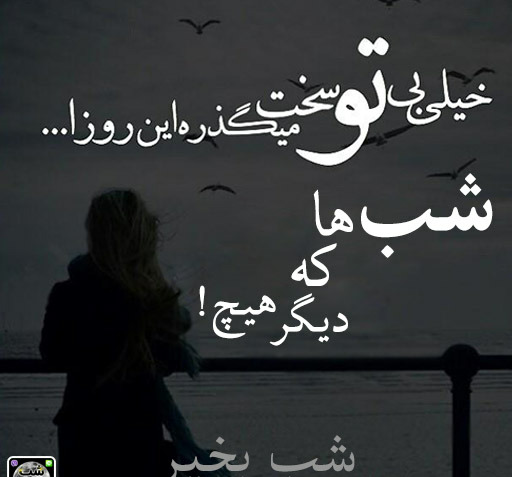 عکس نوشته کاش کنارم بودی
