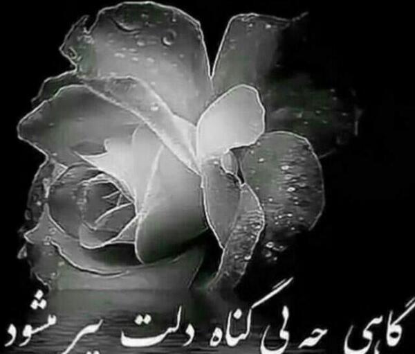عکس نوشته گاهی چه بی گناه دلت پیر میشود