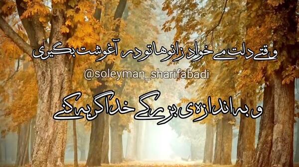 عکس نوشته گاهی دلت میگیره از آدما