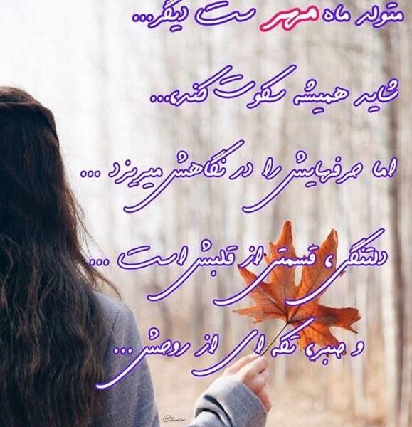 عکس نوشته من مهرماهی ام