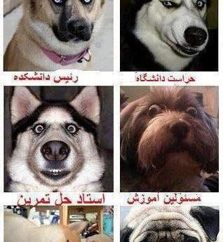 عکس پاپت زشت