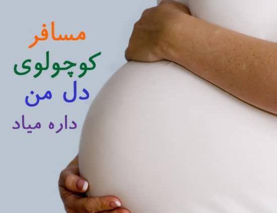 عکس نوشته من حامله ام