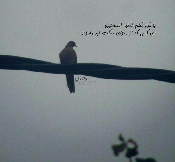 عکس نوشته یا من یعلم ضمیر الصامتین