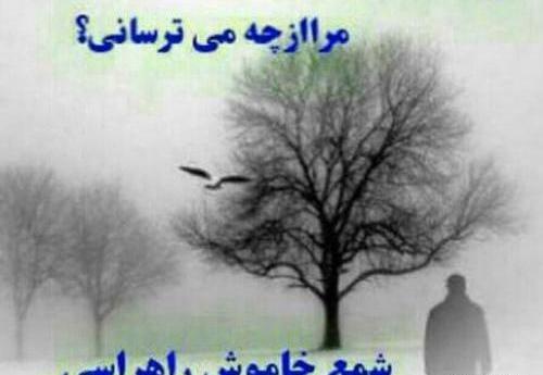 عکس نوشته در بعضی طوفانهای زندگی
