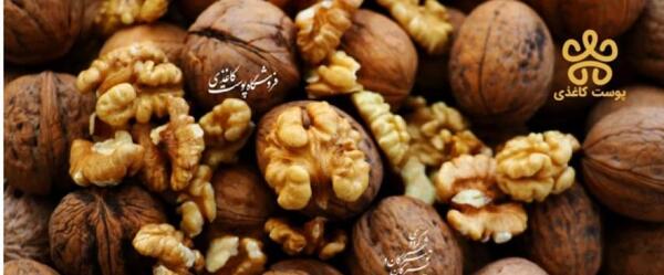 عکس گردو یلدا