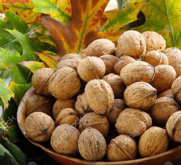 عکس گردو یلدا