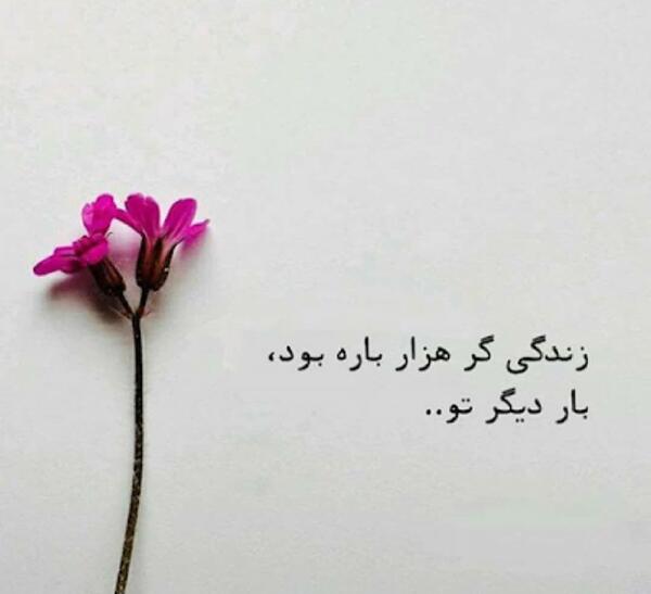 عکس نوشته زندگی گر هزار باره بود
