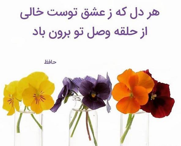 عکس کتاب غزل حافظ