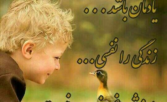 عکس نوشته زندگی ارزش غم خوردن نیست