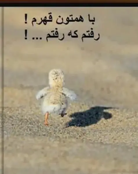 عکس نوشته با همتون قهرم