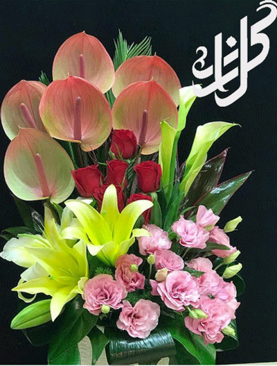 عکس چند شاخه گل طبیعی