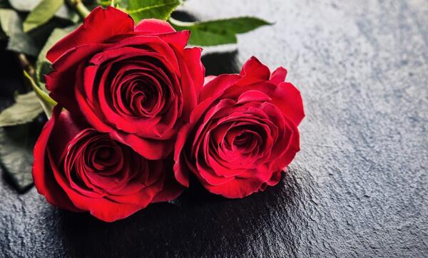 عکس چند شاخه گل طبیعی