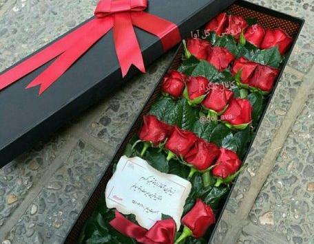 عکس چند شاخه گل طبیعی