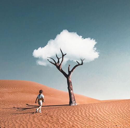 عکس نقاشی کویر