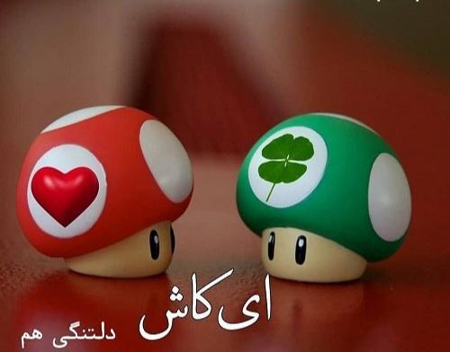 عکس نوشته کاش میشد خدا را بوسید