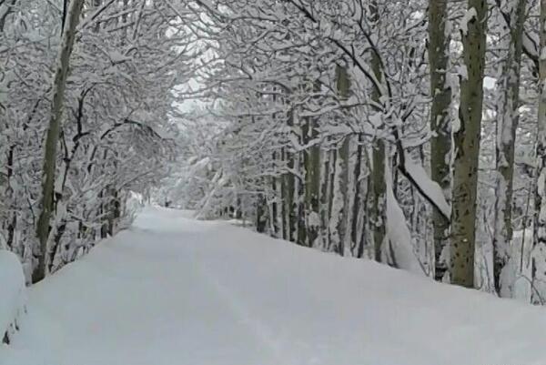 عکس صدای برف