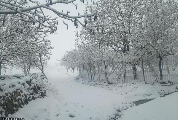 عکس صدای برف