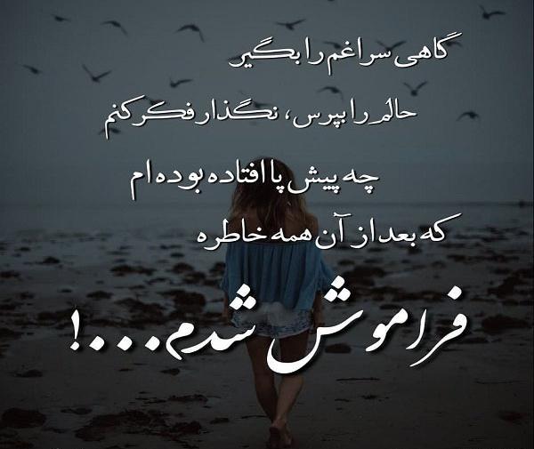 عکس نوشته گاهی سراغم را بگیر