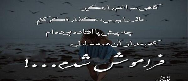 عکس نوشته گاهی سراغم را بگیر